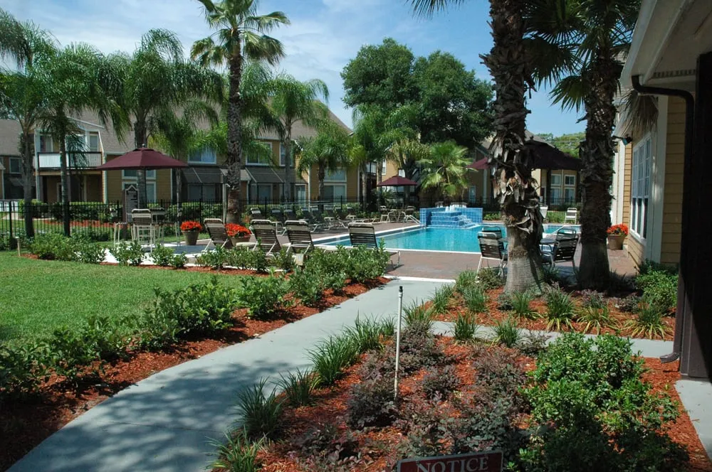 Top-rated lawn care service in Casselberry, FL by Clear Water PSI