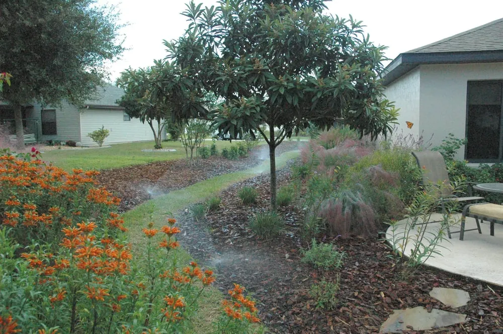 Reliable lawn care service experts serving Casselberry, FL - Clear Water PSI