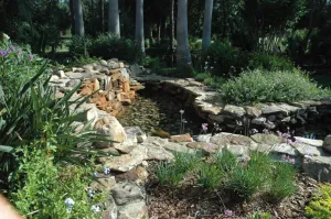 Top-rated landscape installation experts serving Casselberry, FL - Clear Water PSI