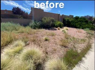 Top-rated residential landscaping for homes across Farmington, NM - Clearaway Services