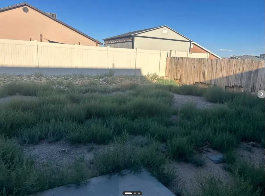 Local landscaping services experts serving Farmington, NM - Clearaway Services