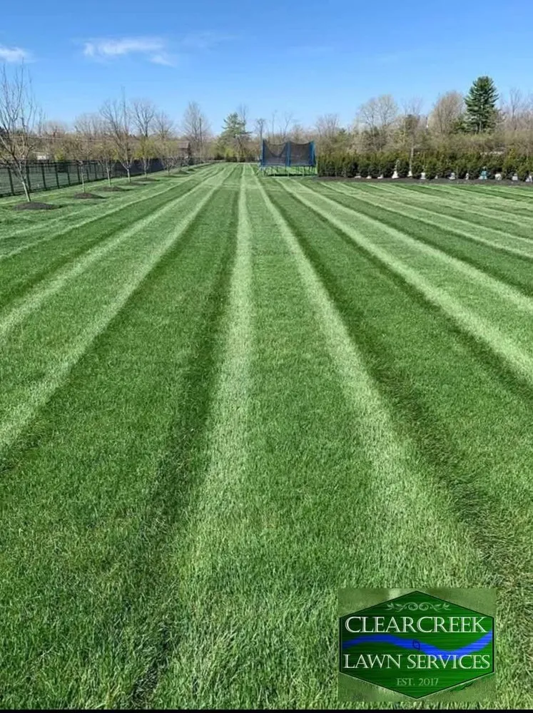 Affordable yard cleanup service in Franklin, OH - Clearcreek Lawn Services