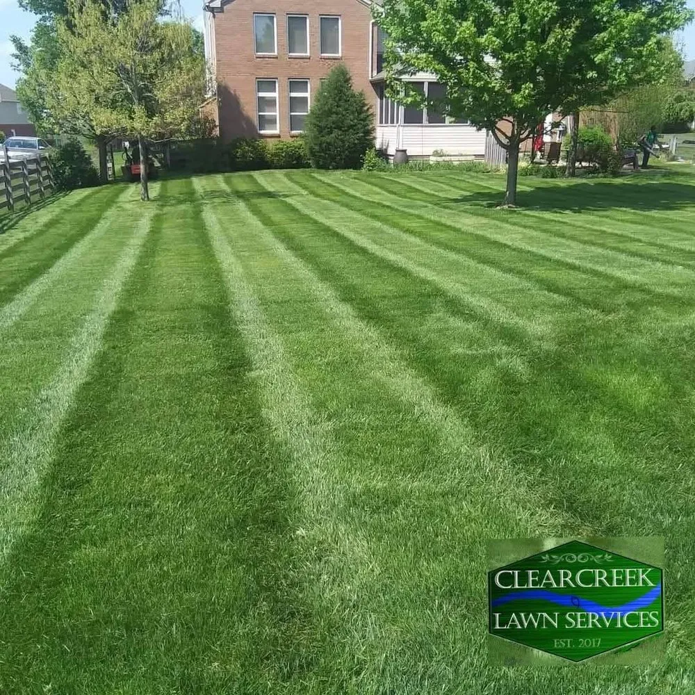 Local lawn care service for outdoor upgrades in Franklin, OH by Clearcreek Lawn Services