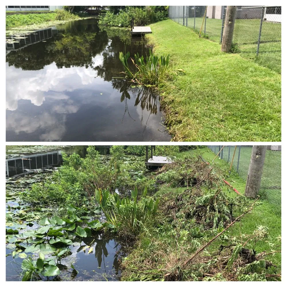 Affordable lawn mowing service in Dundee, FL by Clearcut Lakefronts