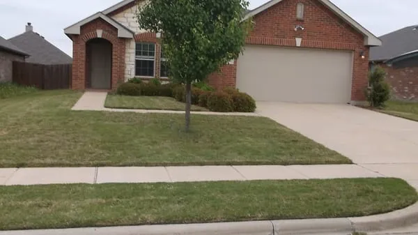 Clearcut Lawn Care Logo