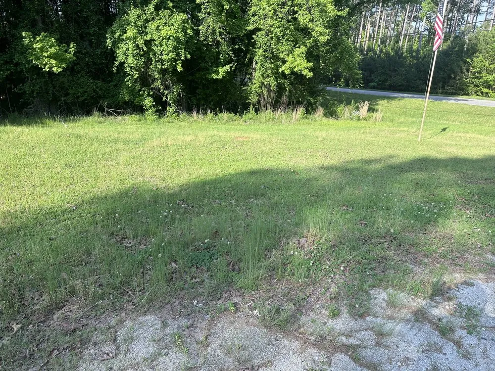 Reliable yard maintenance experts serving Valley, AL - Clearcut lawncare