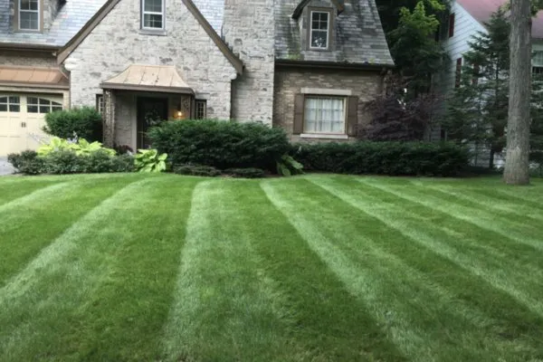 Professional lawn care service in Middle Grove, NY - Cleared Hot Professional Services