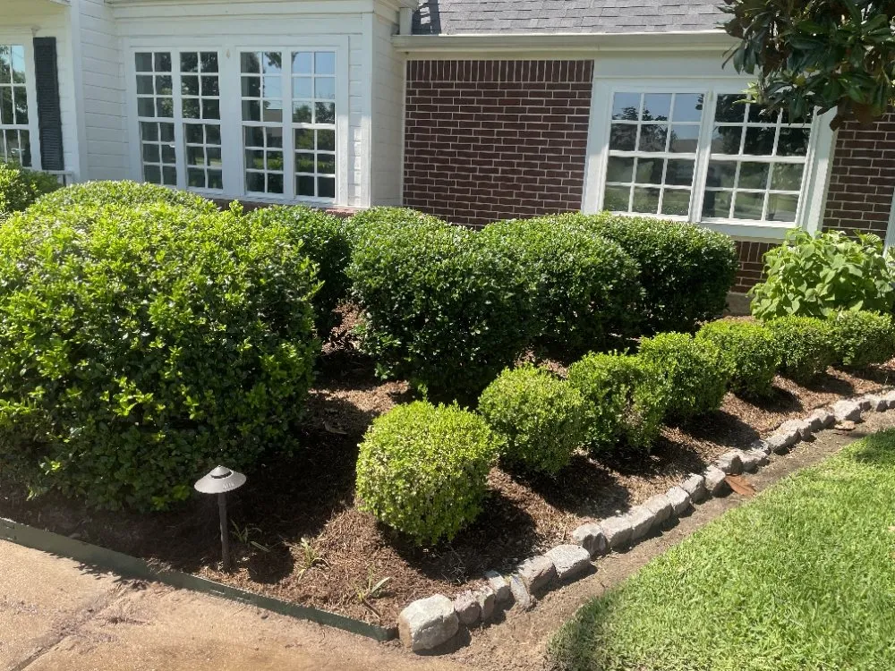 Trusted landscape installation for homes in Sulphur Springs, TX by Clearer Image
