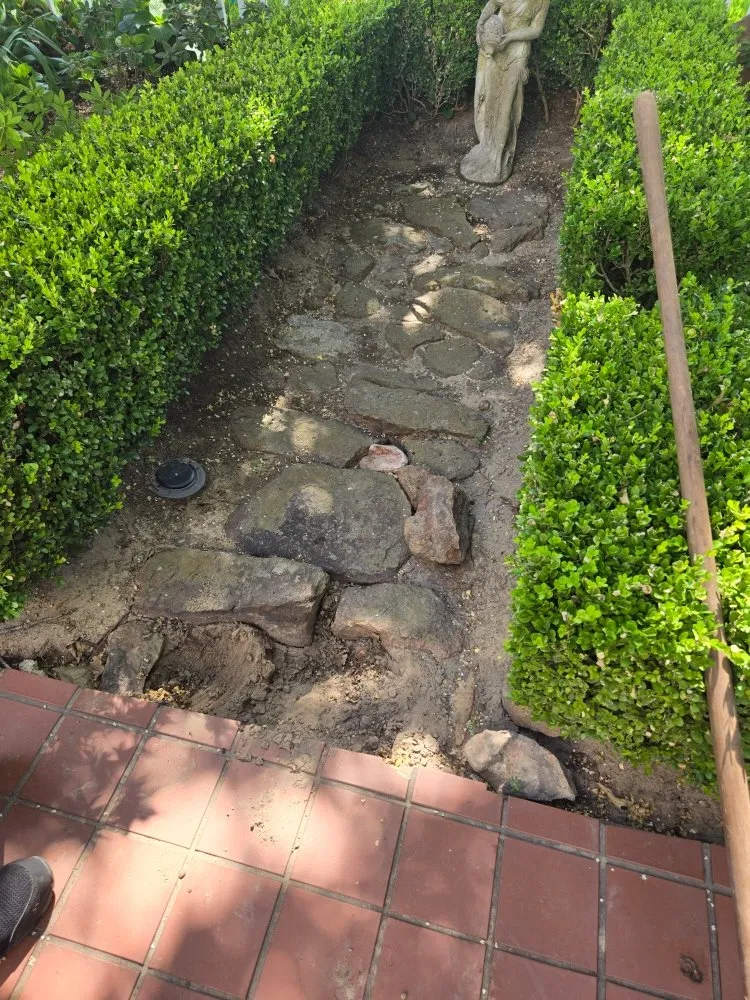 Affordable lawn care service in Sulphur Springs, TX by Clearer Image