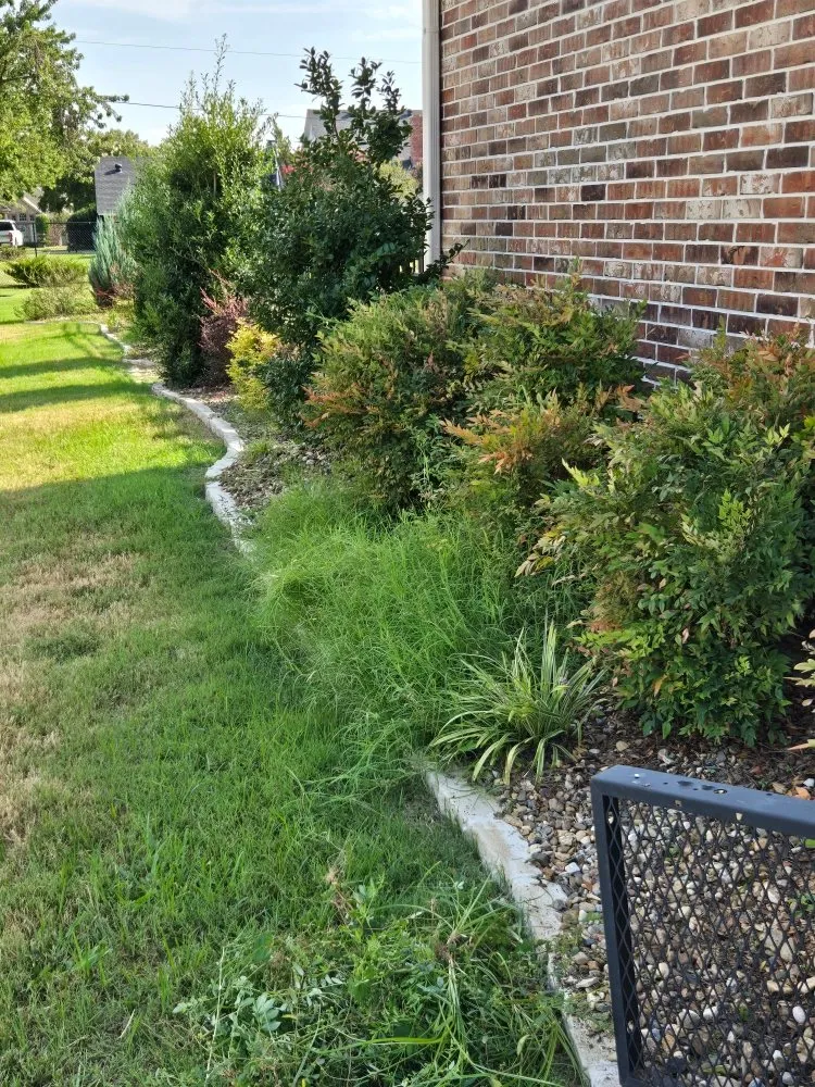 Top-rated landscape installation for beautiful yards in Sulphur Springs, TX by Clearer Image