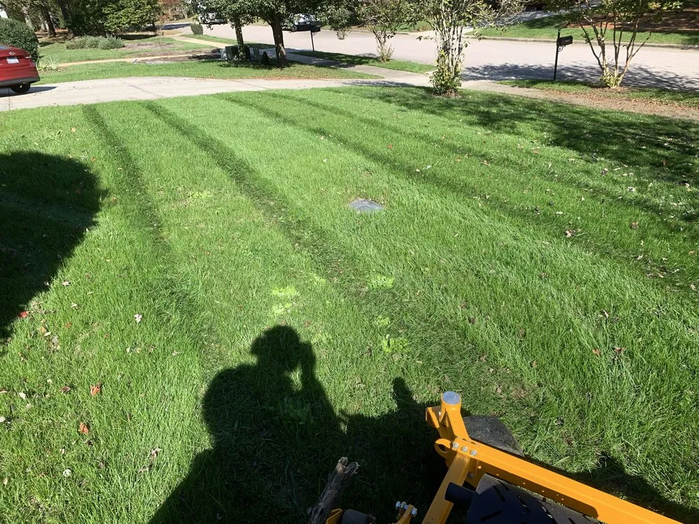 Custom outdoor landscaping in Eugene, OR - ClearLine Service Company