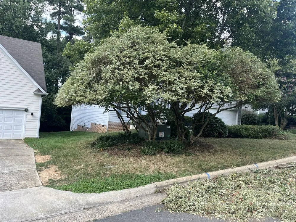 Top-rated landscaping services experts serving Eugene, OR - ClearLine Service Company