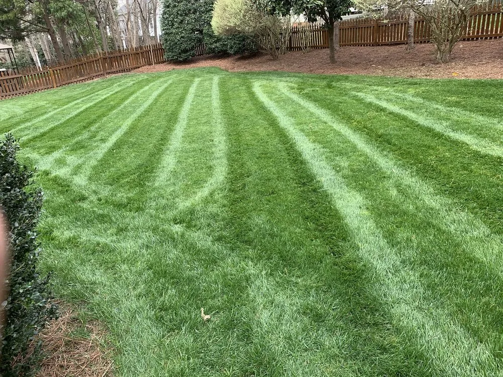 Professional garden landscaping for beautiful yards in Eugene, OR by ClearLine Service Company