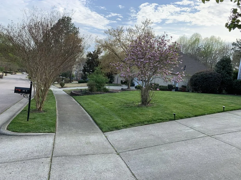 Top-rated landscape design in Eugene, OR - ClearLine Service Company