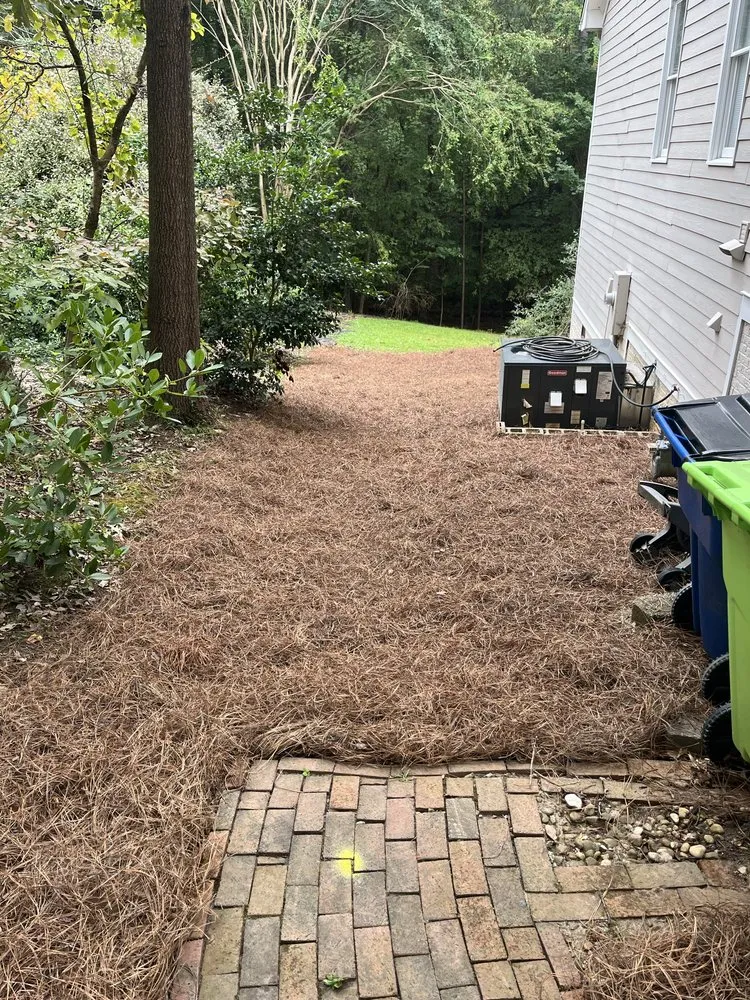 Top-rated lawn care service experts serving Eugene, OR - ClearLine Service Company