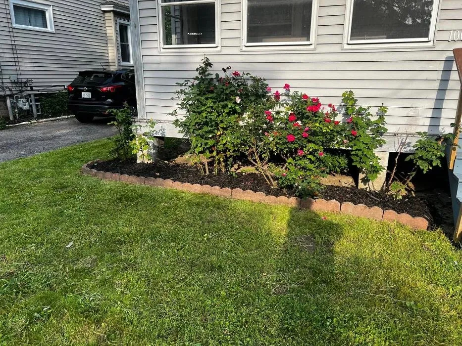 Top-rated landscaping services in Rochester, NY by Clearly Blue Cleaning