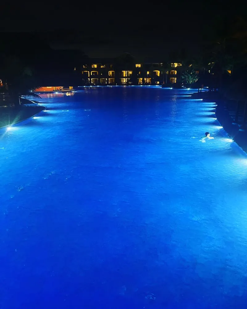 Custom yard cleanup service in Rochester, NY by Clearly Blue Cleaning