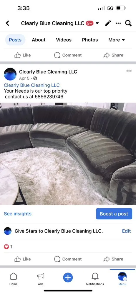 Reliable yard cleanup service in Rochester, NY - Clearly Blue Cleaning