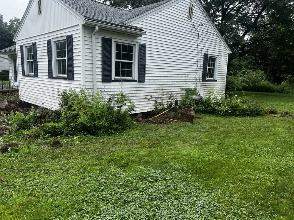 Trusted yard cleanup service near you in Rochester, NY by Clearly Blue Cleaning