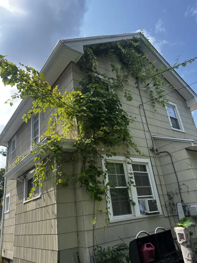 Top-rated yard cleanup service with custom design in Rochester, NY by Clearly Blue Cleaning