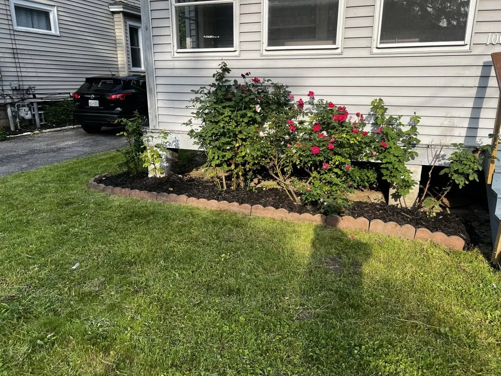 Top-rated yard cleanup service experts serving Rochester, NY - Clearly Blue Cleaning