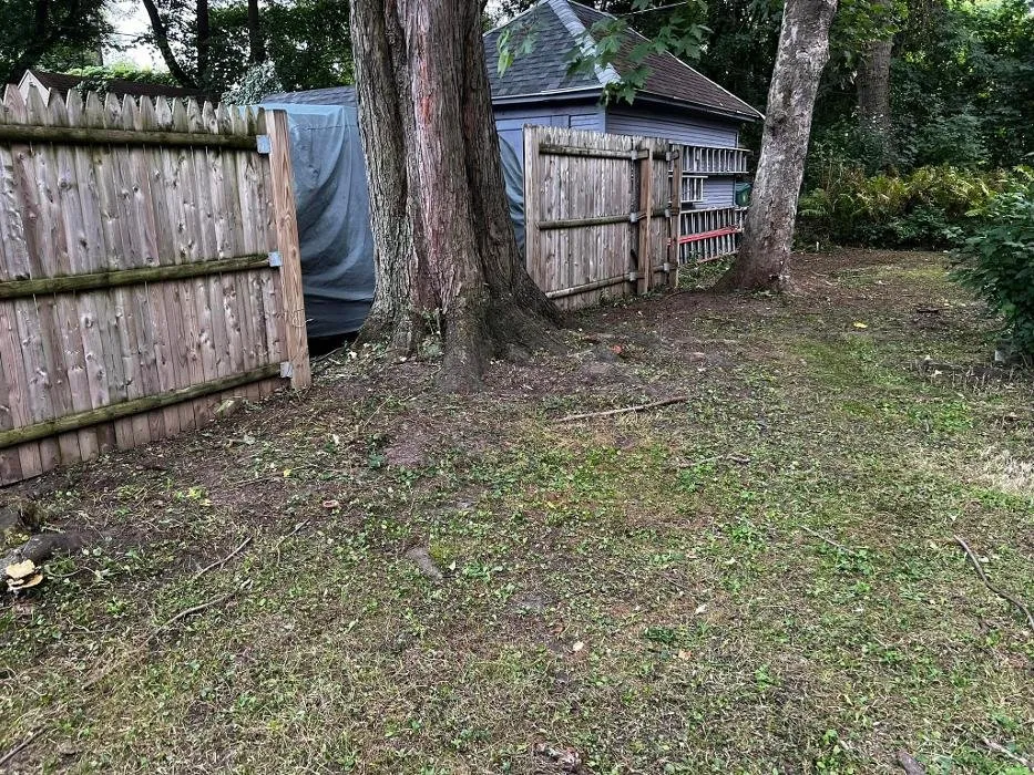 Custom lawn care service in Rochester, NY - Clearly Blue Cleaning