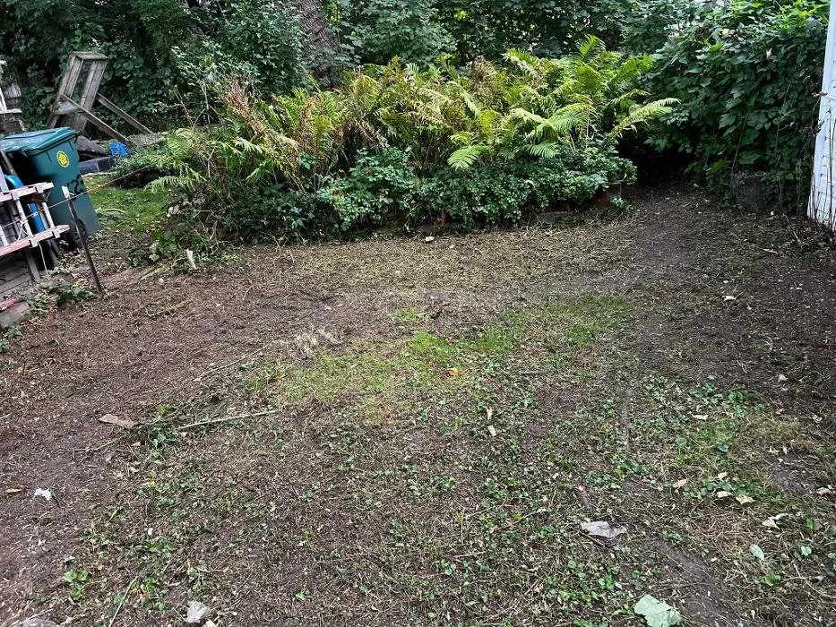 Top-rated yard maintenance experts serving Rochester, NY - Clearly Blue Cleaning