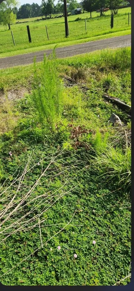 Trusted garden landscaping in Cleveland, TX by Clearpath Terrain Solutions