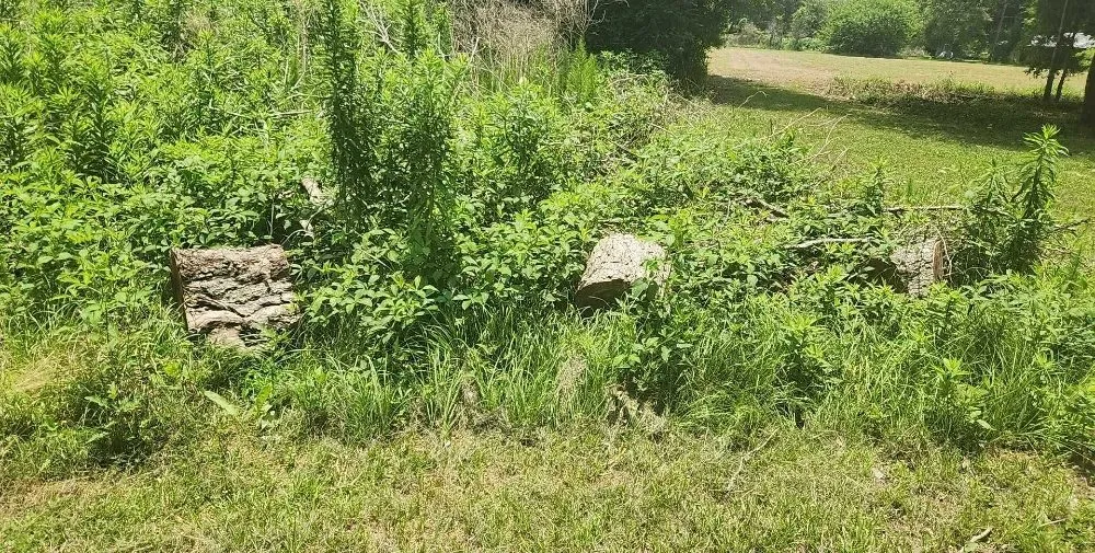 Top-rated garden landscaping for outdoor upgrades in Cleveland, TX by Clearpath Terrain Solutions