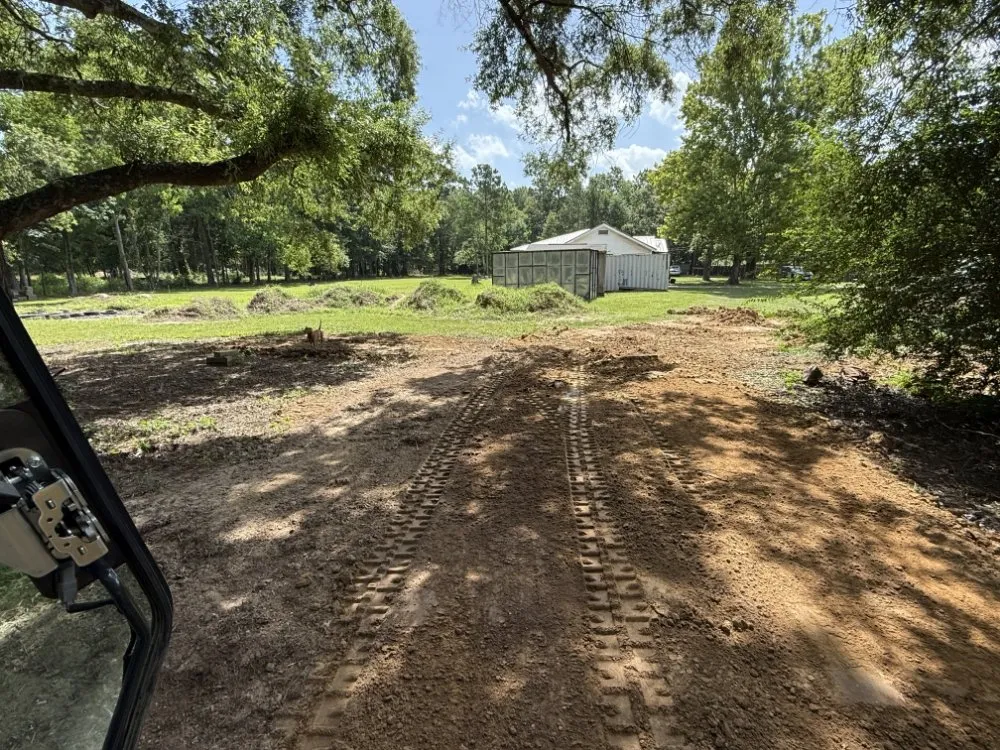 Top-rated landscape installation for year-round maintenance across Cleveland, TX - Clearpath Terrain Solutions