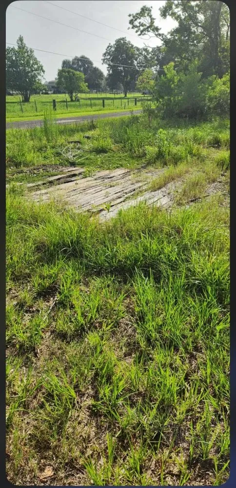 Expert landscape installation in Cleveland, TX by Clearpath Terrain Solutions