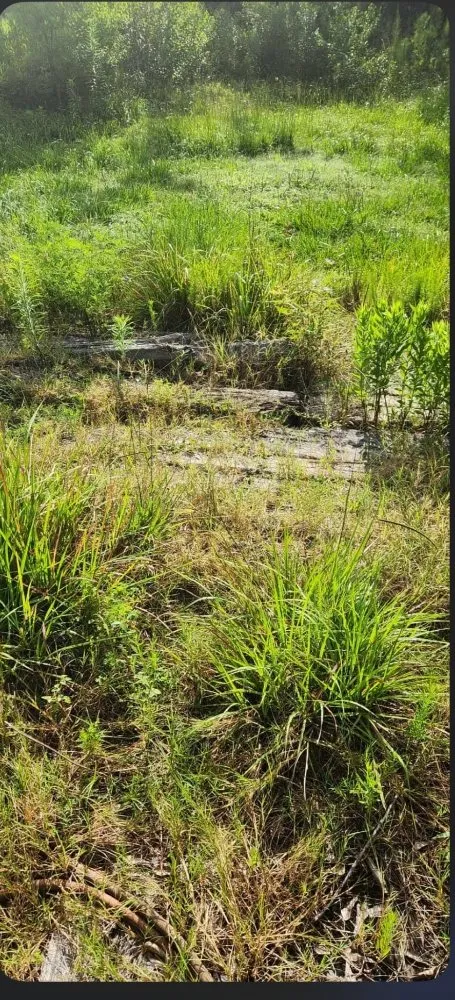 Custom residential landscaping in Cleveland, TX by Clearpath Terrain Solutions