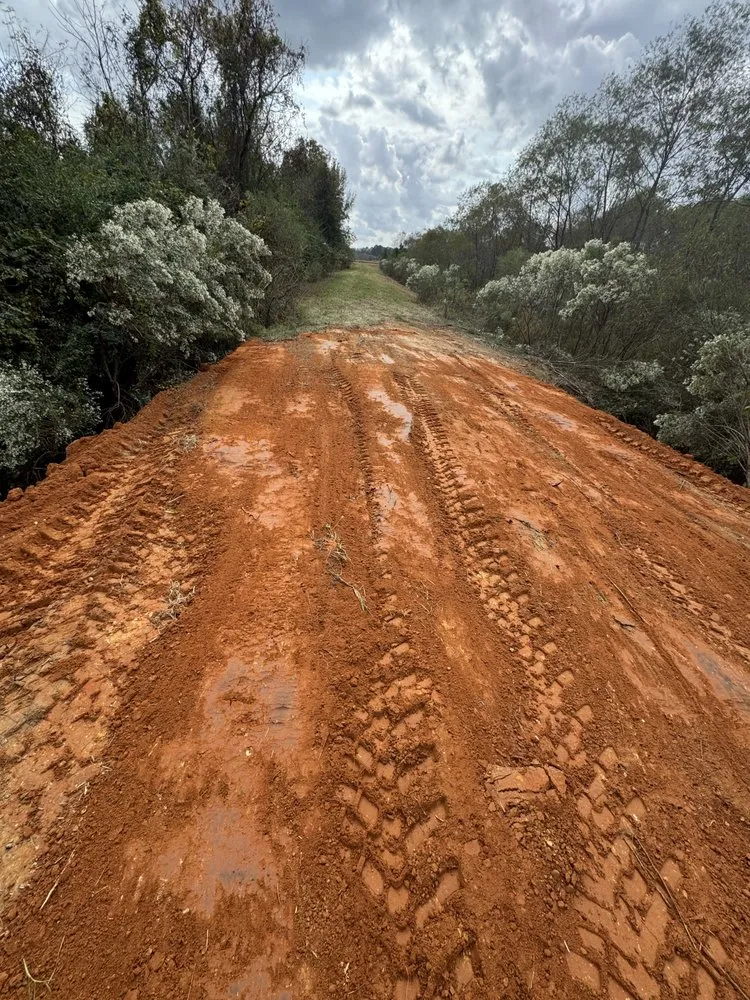 Professional residential landscaping in Cottondale, AL - Clearscape Land Management