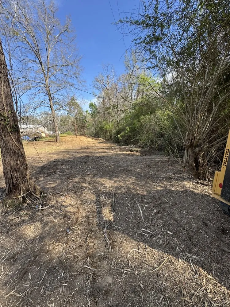 Local yard cleanup service for year-round maintenance across Cottondale, AL - Clearscape Land Management