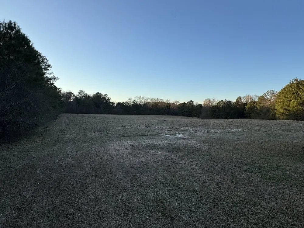 Top-rated landscape installation for residential properties across Cottondale, AL - Clearscape Land Management