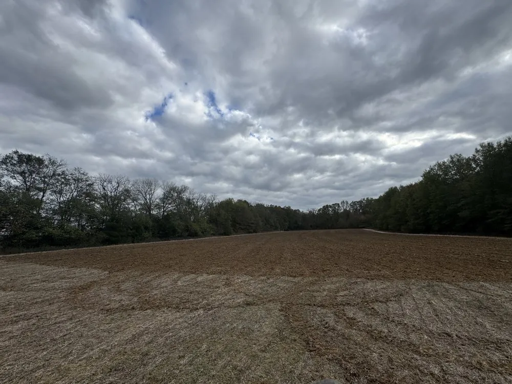 Reliable yard maintenance in Cottondale, AL by Clearscape Land Management