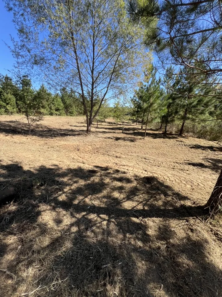 Local lawn care service in Cottondale, AL - Clearscape Land Management