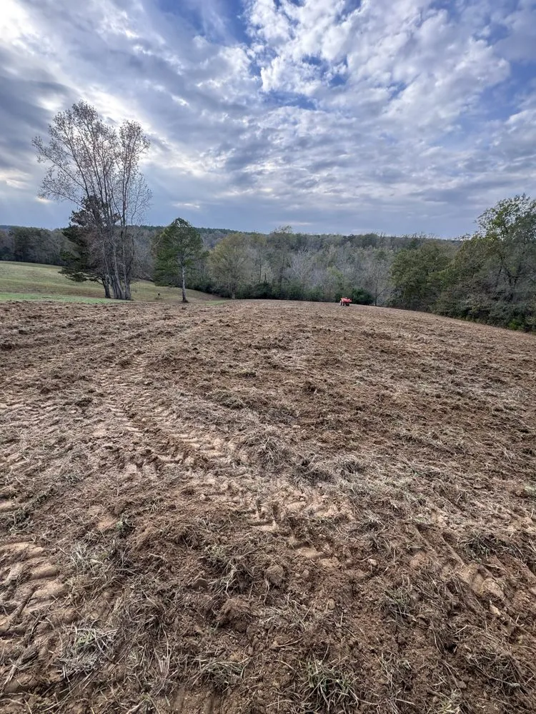 Expert yard maintenance in Cottondale, AL by Clearscape Land Management