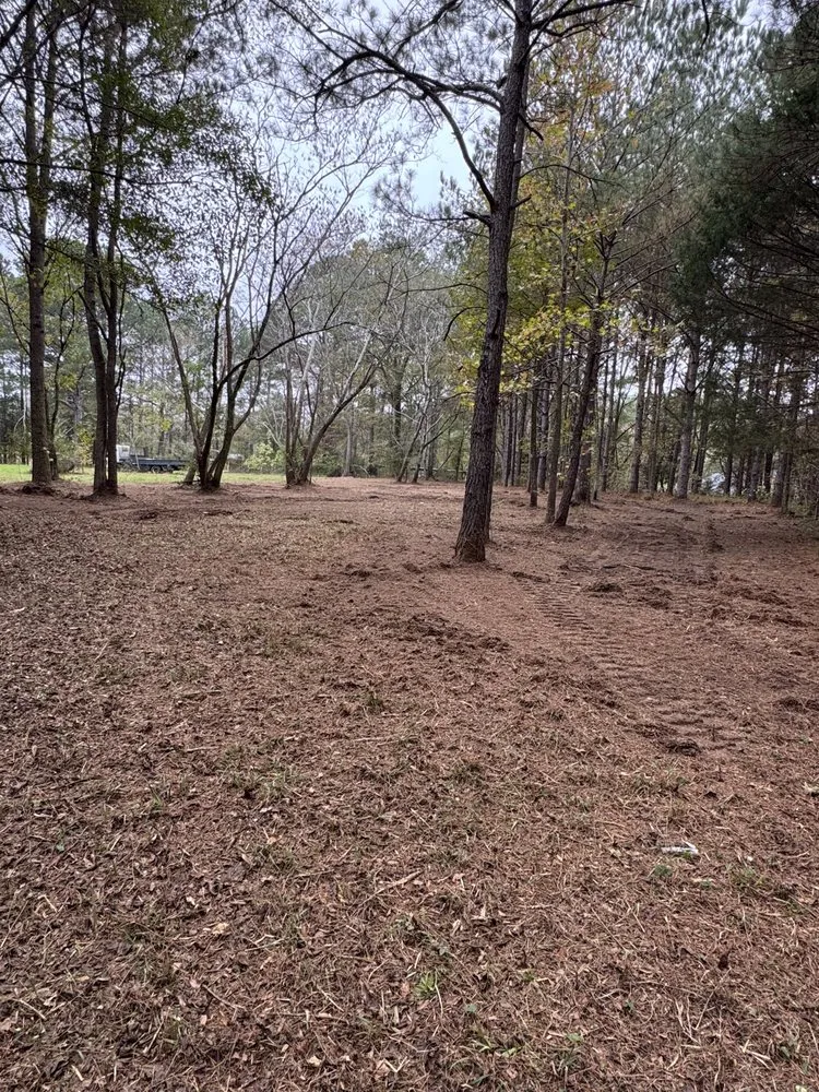 Top-rated landscape design in Cottondale, AL by Clearscape Land Management