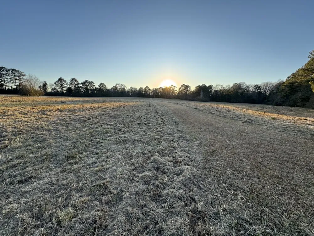 Professional landscape installation with custom design in Cottondale, AL by Clearscape Land Management