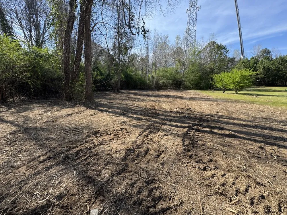 Professional landscape installation for year-round maintenance across Cottondale, AL - Clearscape Land Management