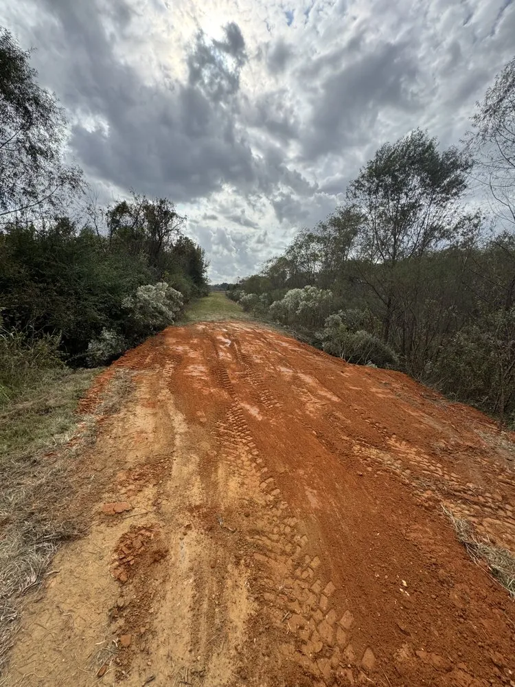 Reliable yard cleanup service for beautiful yards across Cottondale, AL - Clearscape Land Management