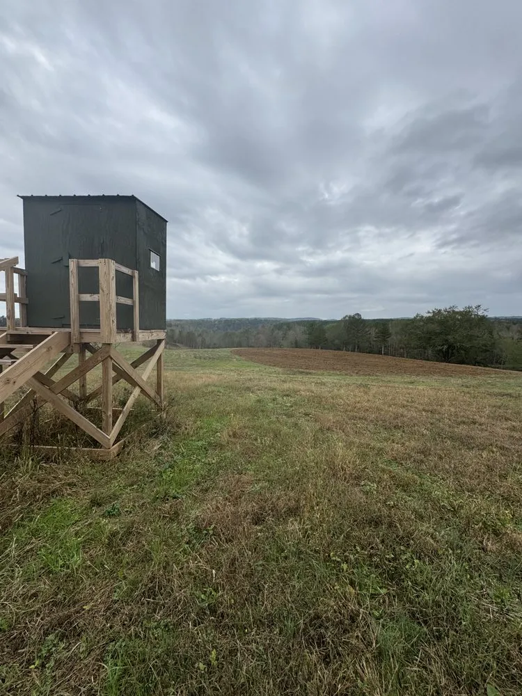 Trusted yard cleanup service experts serving Cottondale, AL - Clearscape Land Management