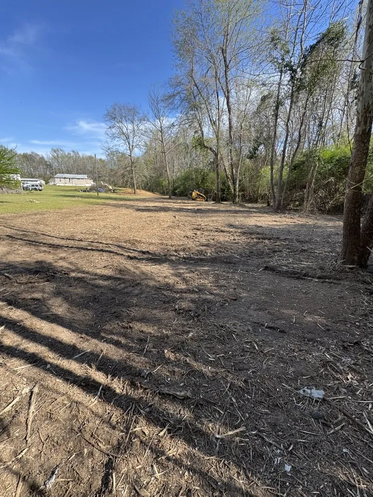 Top-rated landscape design experts serving Cottondale, AL - Clearscape Land Management