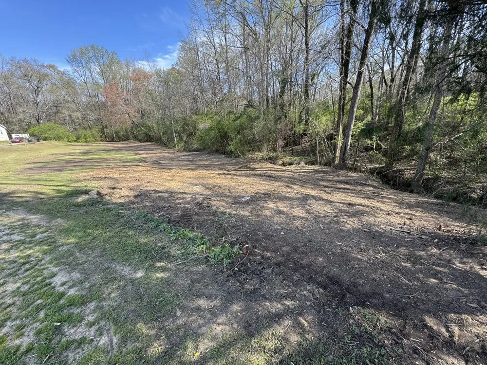 Top-rated lawn care service experts serving Cottondale, AL - Clearscape Land Management