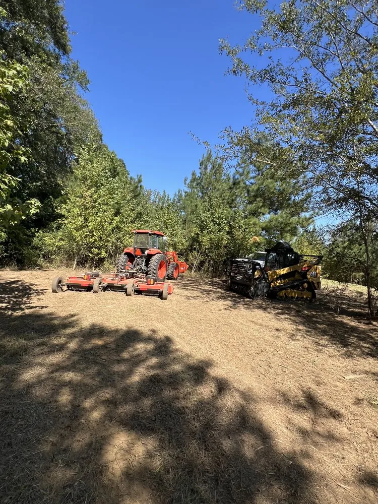 Professional yard maintenance in Cottondale, AL by Clearscape Land Management
