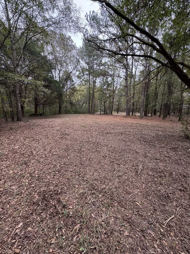 Local lawn mowing service experts serving Cottondale, AL - Clearscape Land Management