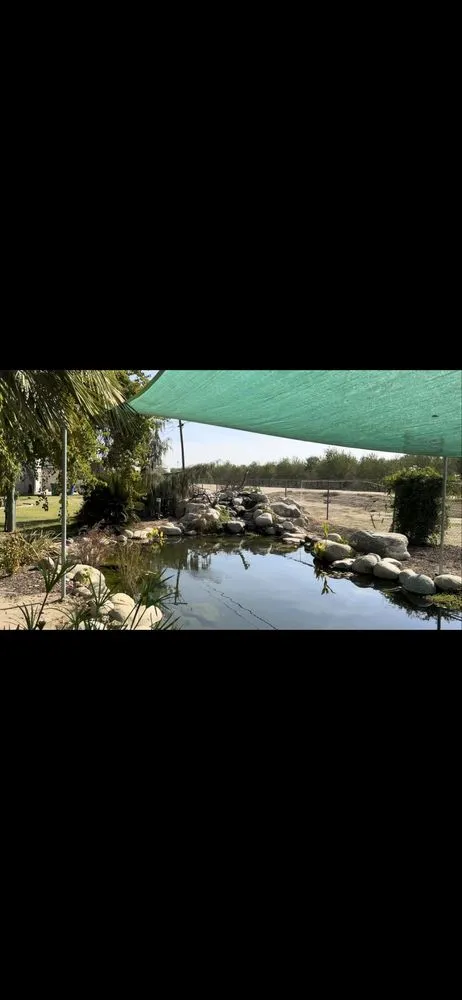 Expert residential landscaping for beautiful yards across Modesto, CA - ClearScape Pond Care