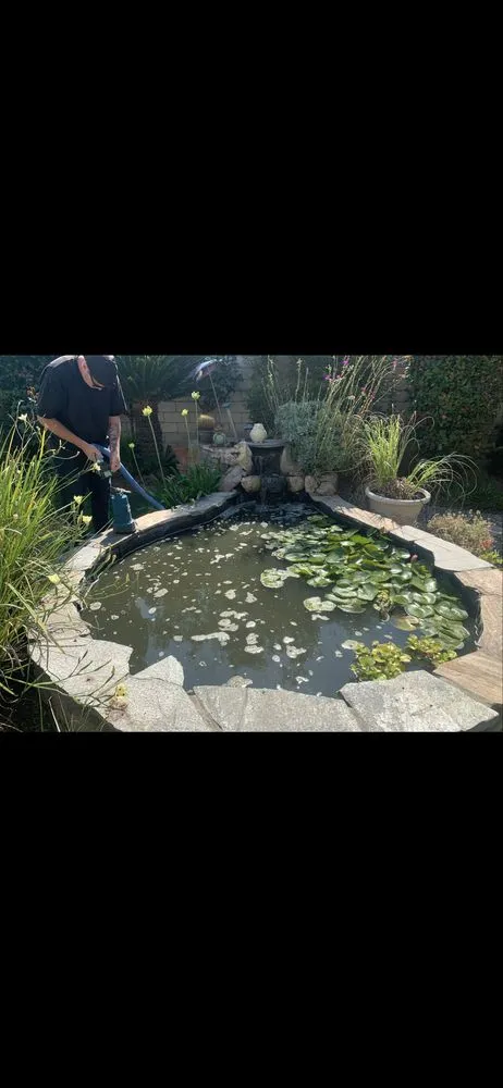 Expert landscape installation experts serving Modesto, CA - ClearScape Pond Care
