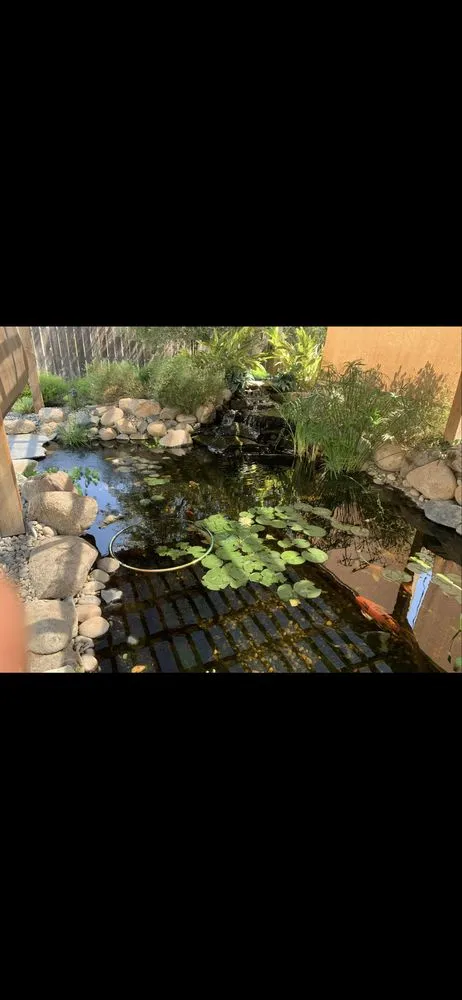 Expert outdoor landscaping in Modesto, CA - ClearScape Pond Care